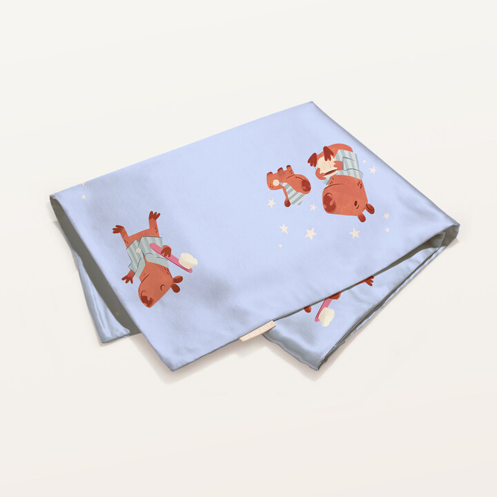 Наволочка 50х70 из фирменного шёлка